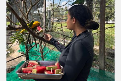 notícia: Animais do Mangal das Garças recebem alimentos gelados para aliviar o calor