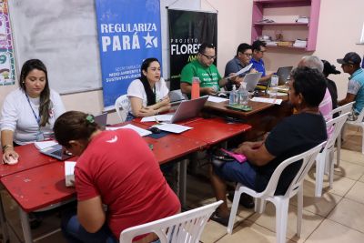 notícia: Mutirão de Regularização Ambiental leva o CAR a centenas de produtores em Rurópolis