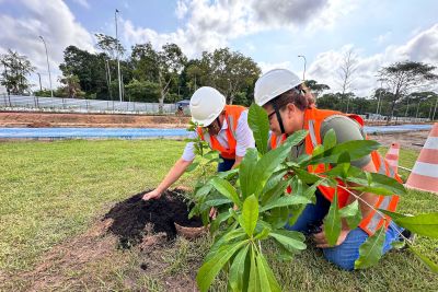 notícia: Plantio de árvores marca celebração do Dia dos Professores no Parque da Cidade, em Belém