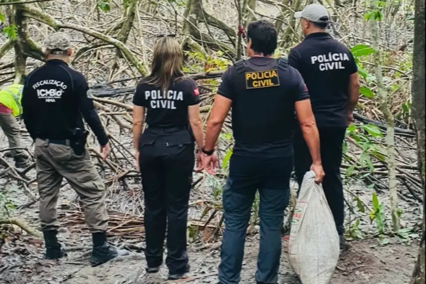 Crédito: Divulgação