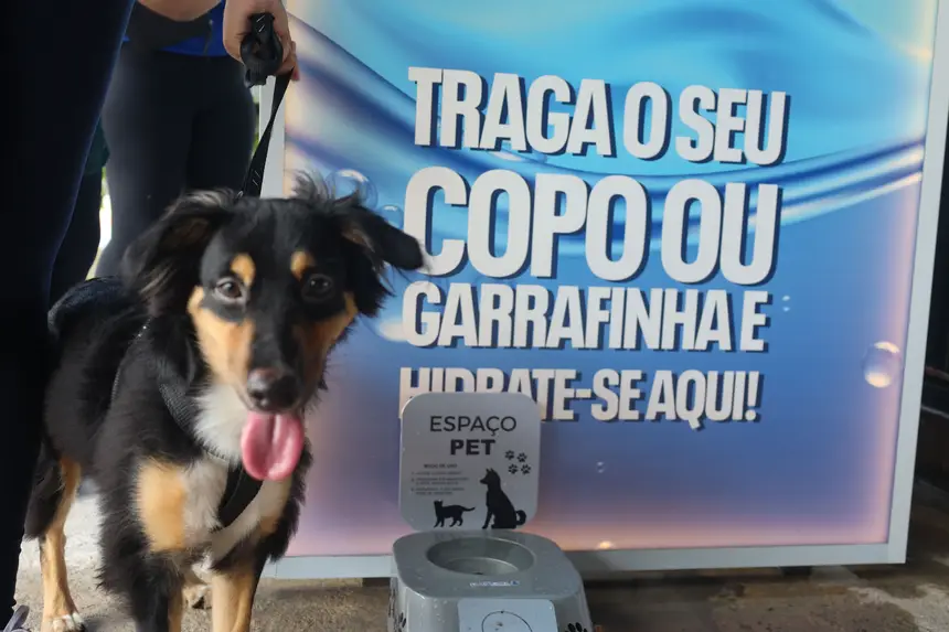 <div class='credito_fotos'>Foto: Bruno Cecim / Ag.Pará | <a href='/midias/2025/originais/20250208105343-GF00022941-F00376275.webp' download><i class='fa-solid fa-download'></i> Download</a></div>