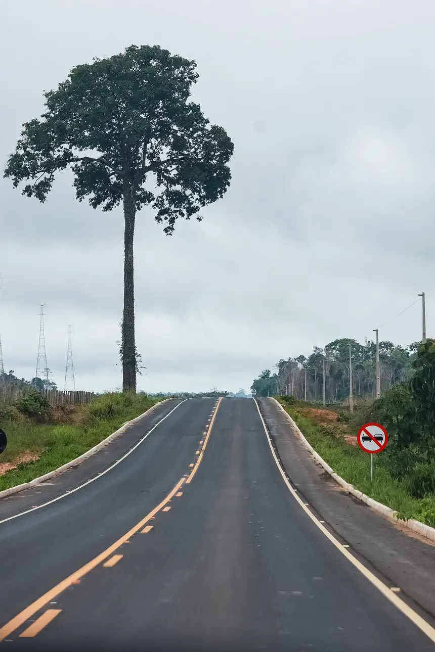 <div class='credito_fotos'>Foto: Bruno Cruz / Agência Pará | <a href='/midias/2025/originais/20250215115800-GF00023006-F00378260.webp' download><i class='fa-solid fa-download'></i> Download</a></div>