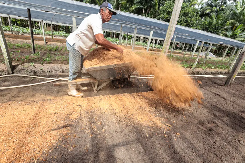 <div class='credito_fotos'>Foto: Alex Ribeiro / Ag. Pará | <a href='/midias/2025/originais/20250221113610-GF00023049-F00379527.webp' download><i class='fa-solid fa-download'></i> Download</a></div>