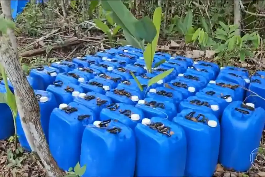 Crédito: Divulgação