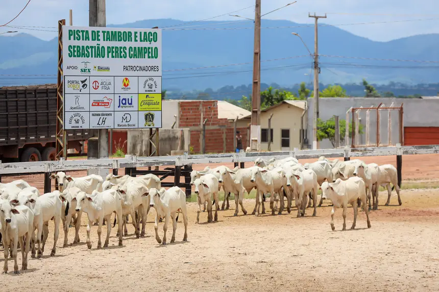 <div class='credito_fotos'>Foto: Bruno Cruz / Agência Pará | <a href='/midias/2025/originais/20250315130732-GF00023223-F00385181.webp' download><i class='fa-solid fa-download'></i> Download</a></div>