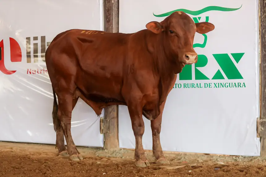<div class='credito_fotos'>Foto: Bruno Cruz / Agência Pará | <a href='/midias/2025/originais/20250315130804-GF00023223-F00385203.webp' download><i class='fa-solid fa-download'></i> Download</a></div>