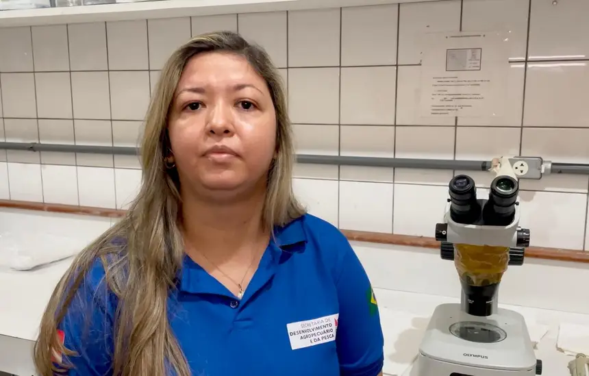 Anelise Ramos, que integra a equipe da Copan/Sedap, destaca que o material genético é muito bem armazenado na Sedap