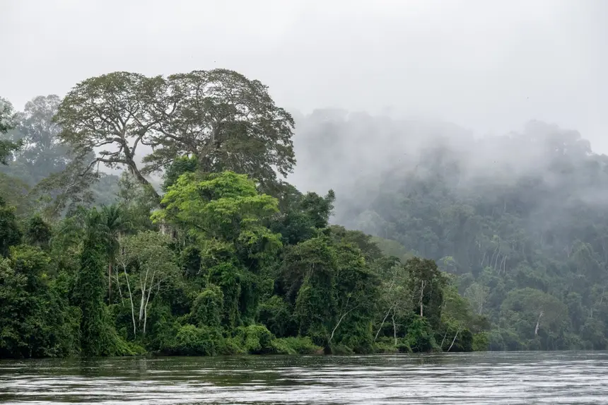 Perspectiva do rio Jari e do Parque Estadual das Árvores Gigantes da Amazônia 
