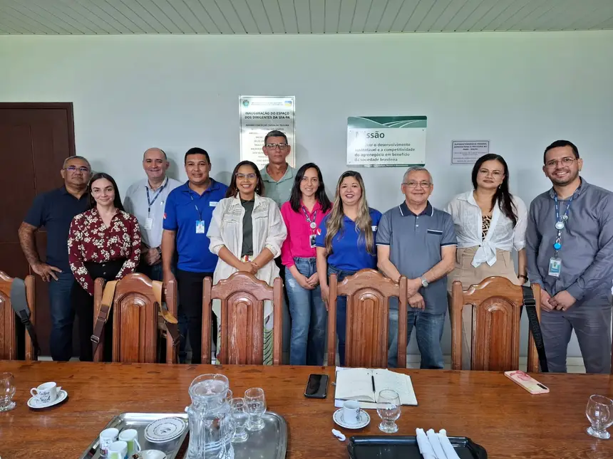 A ação conjunta envolve Sedap, Embrapa, Adepará, Semas, Fapic, Faepa e o Mapa. 