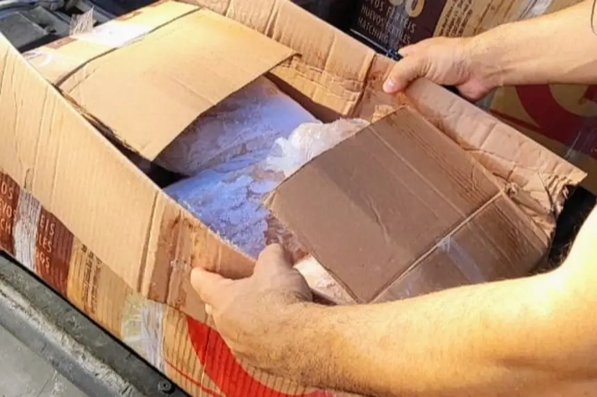 Crédito: Divulgação