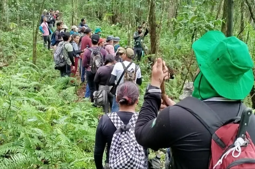 Crédito: Divulgação