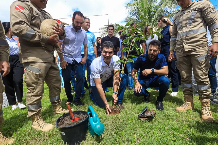 <div class='credito_fotos'>Foto: Alex Ribeiro / Ag. Pará | <a href='/midias/2025/originais/20250410151438-GF00023450-F00392266.jpg' download><i class='fa-solid fa-download'></i> Download</a></div>