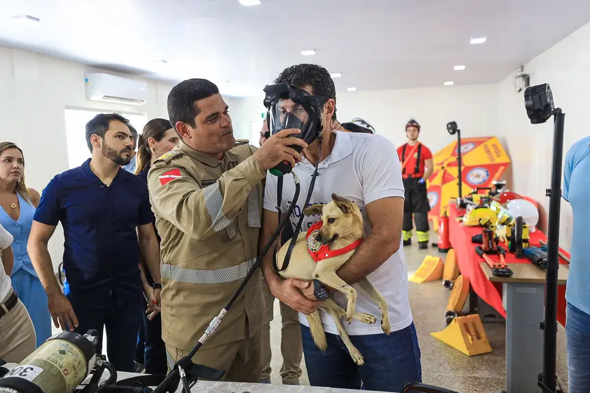 <div class='credito_fotos'>Foto: Alex Ribeiro / Ag. Pará | <a href='/midias/2025/originais/20250410151442-GF00023450-F00392269.jpg' download><i class='fa-solid fa-download'></i> Download</a></div>