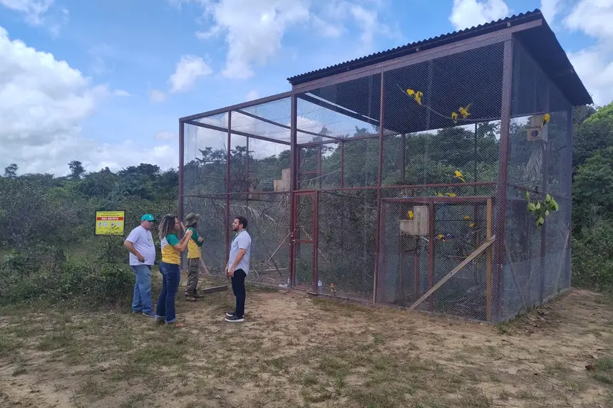 Crédito: Divulgação