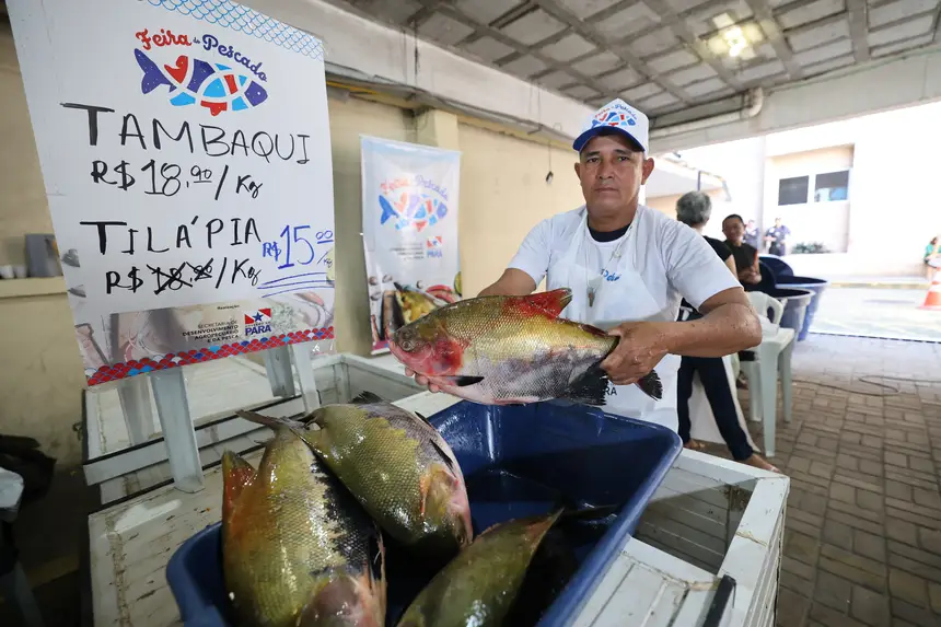  <div class='credito_fotos'>Foto: Marco Santos / Ag. Pará &nbsp;&nbsp;|&nbsp;&nbsp; <a href='/midias/2025/originais/20250417122244-GF00023505-F00395220.jpg' download><i class='fa-solid fa-download'></i> Download</a></div>