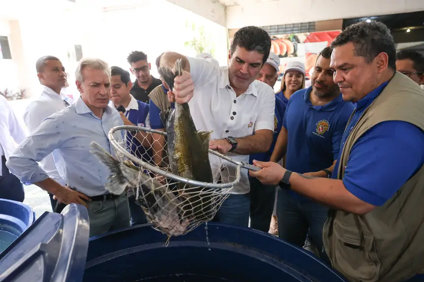  <div class='credito_fotos'>Foto: Marco Santos / Ag. Pará &nbsp;&nbsp;|&nbsp;&nbsp; <a href='/midias/2025/originais/20250417122933-GF00023505-F00395254.jpg' download><i class='fa-solid fa-download'></i> Download</a></div>