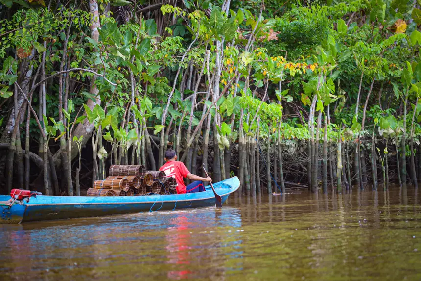 <div class='credito_fotos'>Foto: Bruno Cruz / Agência Pará | <a href='/midias/2025/originais/20250423140950-GF00023533-F00396236.webp' download><i class='fa-solid fa-download'></i> Download</a></div>