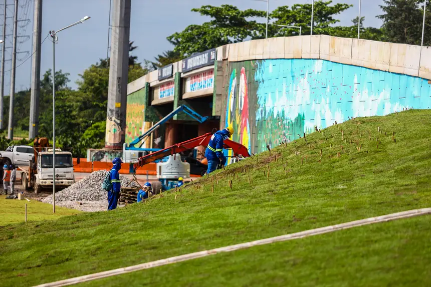 <div class='credito_fotos'>Foto: Rodrigo Pinheiro / Ag.Pará | <a href='/midias/2025/originais/20250428110255-GF00023567-F00397465.webp' download><i class='fa-solid fa-download'></i> Download</a></div>