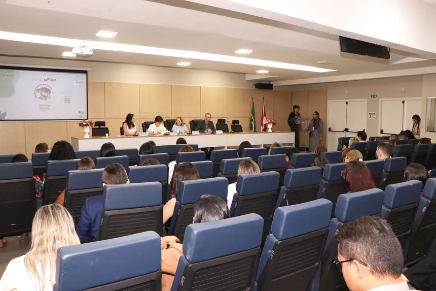 Oficina durou dois dias no auditório da Sespa, em Belém