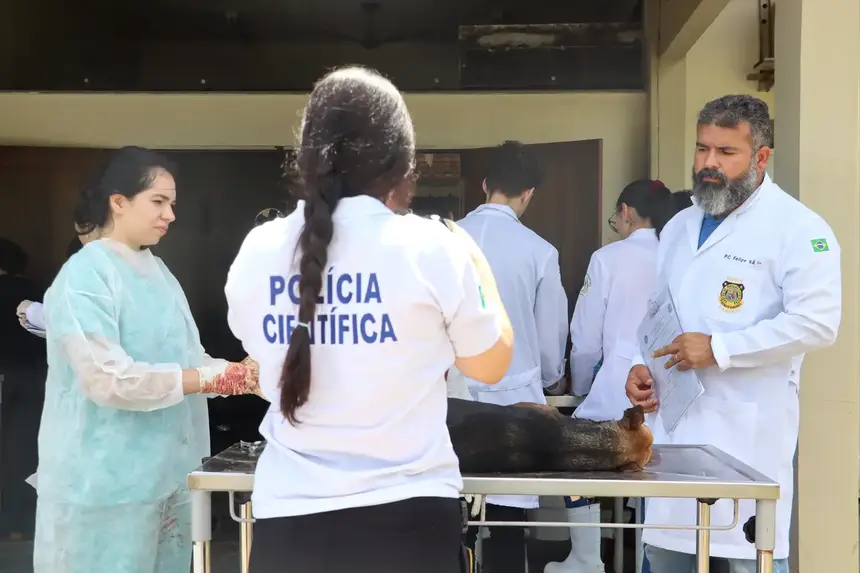 Crédito: Divulgação