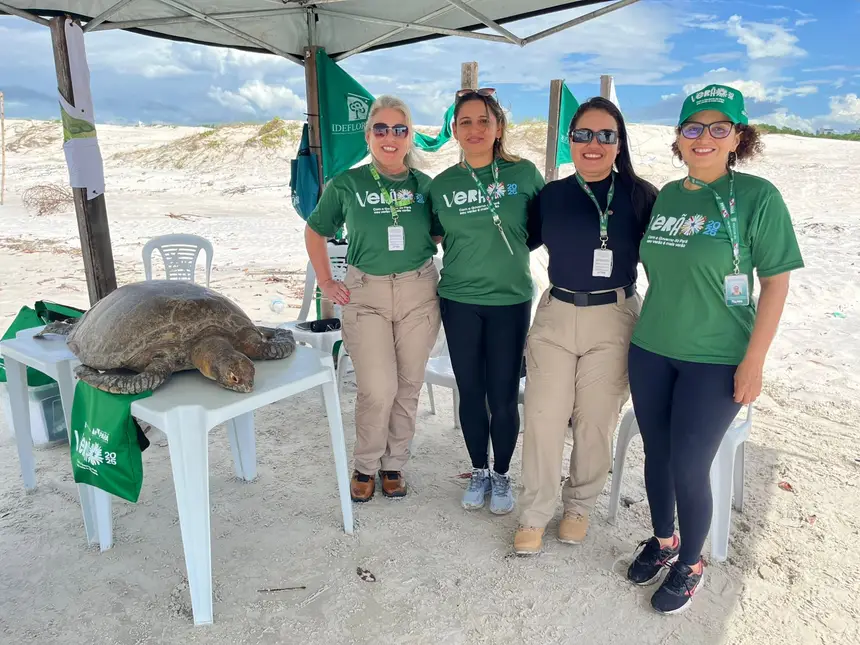 A base da equipe do Ideflor-Bio na área conhecida como Ponta da Sofia na Praia do Atalaia