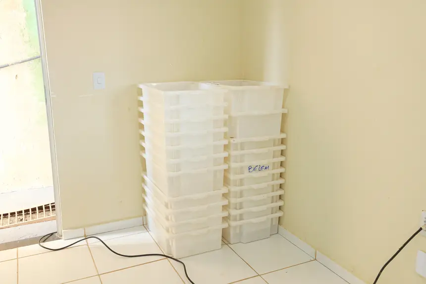  <div class='credito_fotos'>Foto: Alex Ribeiro / Ag. Pará &nbsp;&nbsp;|&nbsp;&nbsp; <a href='/midias/2025/originais/20250714152952-GF00024191-F00422341.jpg' download><i class='fa-solid fa-download'></i> Download</a></div>