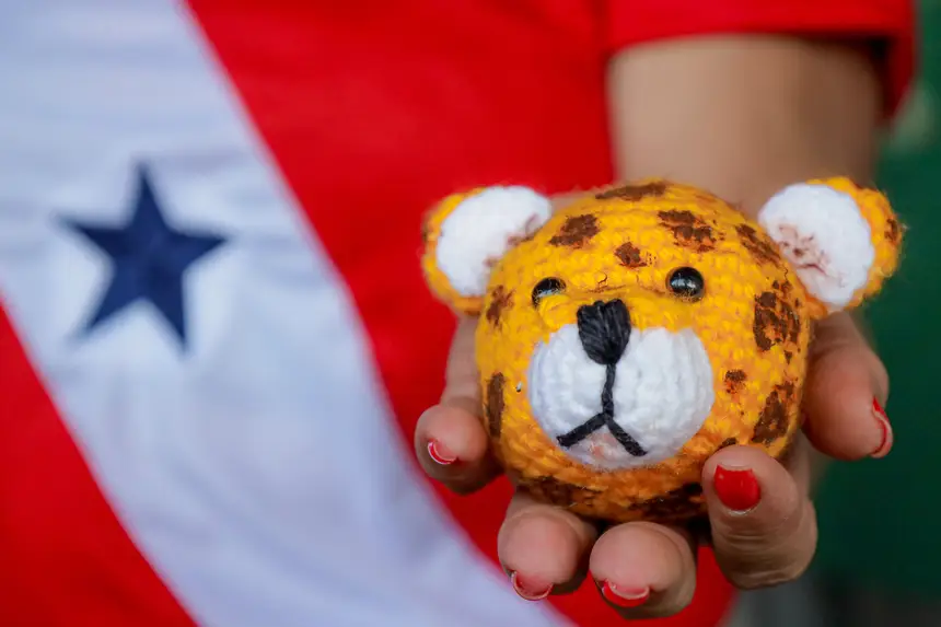  <div class='credito_fotos'>Foto: Pedro Guerreiro / Ag. Pará &nbsp;&nbsp;|&nbsp;&nbsp; <a href='/midias/2025/originais/20250717225741-GF00024236-F00423848.jpg' download><i class='fa-solid fa-download'></i> Download</a></div>