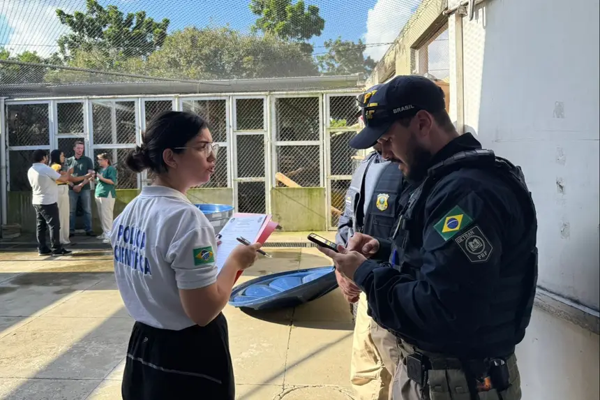 Crédito: Divulgação