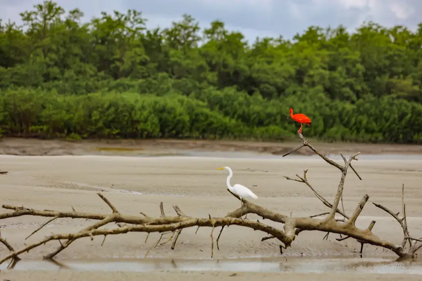 <div class='credito_fotos'>Foto: Bruno Cruz / Ag. Pará | <a href='/midias/2025/originais/20250725115937-GF00024296-F00425898.webp' download><i class='fa-solid fa-download'></i> Download</a></div>
