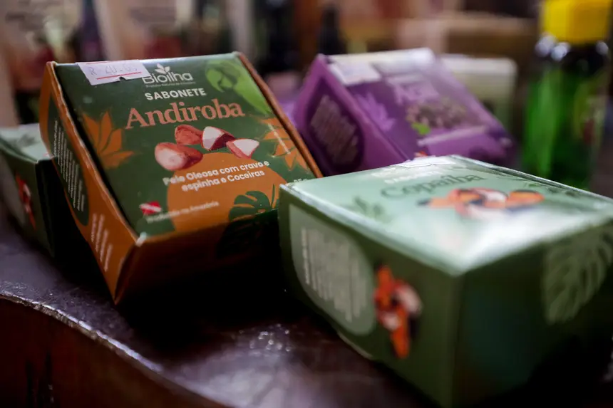  <div class='credito_fotos'>Foto: Pedro Guerreiro / Ag. Pará &nbsp;&nbsp;|&nbsp;&nbsp; <a href='/midias/2025/originais/20250808124334-GF00024419-F00428994.jpg' download><i class='fa-solid fa-download'></i> Download</a></div>