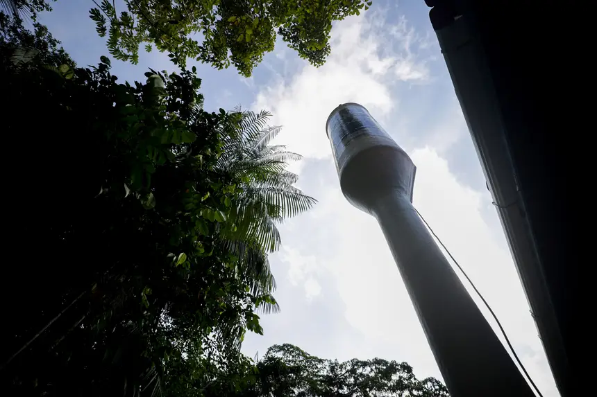  <div class='credito_fotos'>Foto: Pedro Guerreiro / Ag. Pará &nbsp;&nbsp;|&nbsp;&nbsp; <a href='/midias/2025/originais/20250808124428-GF00024419-F00429022.jpg' download><i class='fa-solid fa-download'></i> Download</a></div>