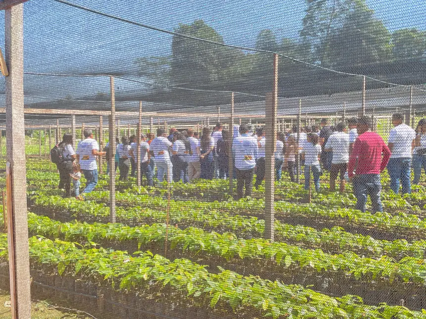 Crédito: Divulgação