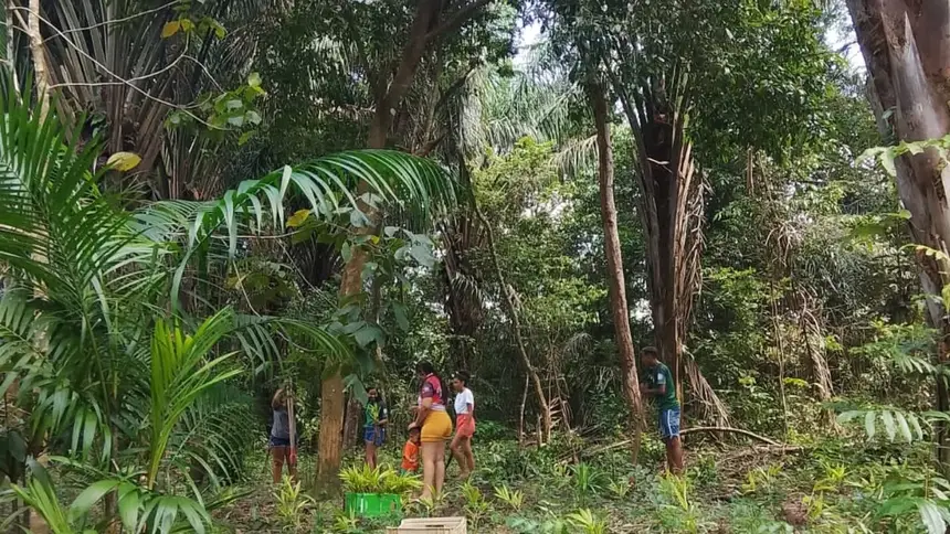 Crédito: Divulgação