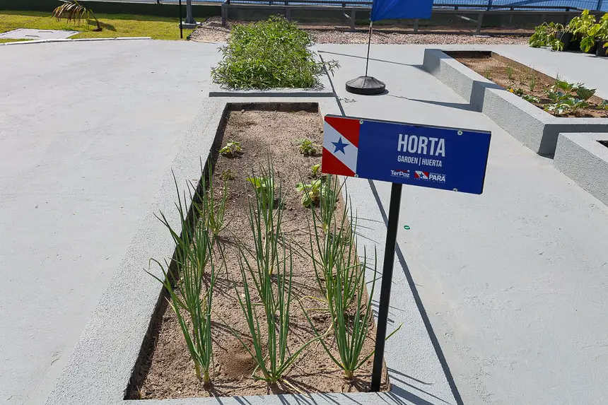  <div class='credito_fotos'>Foto: Alex Ribeiro / Ag. Pará &nbsp;&nbsp;|&nbsp;&nbsp; <a href='/midias/2025/originais/20250828162426-GF00024658-F00436864.jpg' download><i class='fa-solid fa-download'></i> Download</a></div>