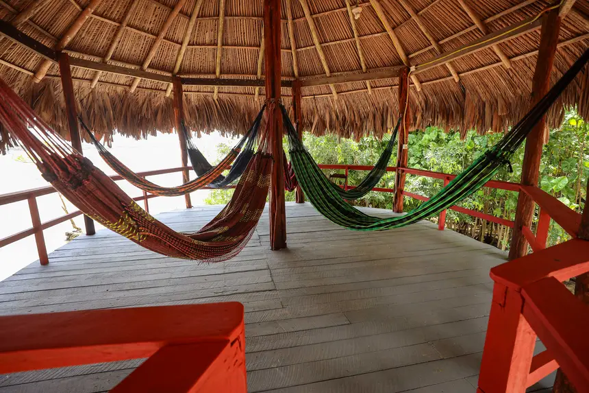  <div class='credito_fotos'>Foto: Bruno Cecim / Ag. Pará &nbsp;&nbsp;|&nbsp;&nbsp; <a href='/midias/2025/originais/20250829154957-GF00024679-F00437519.jpg' download><i class='fa-solid fa-download'></i> Download</a></div>