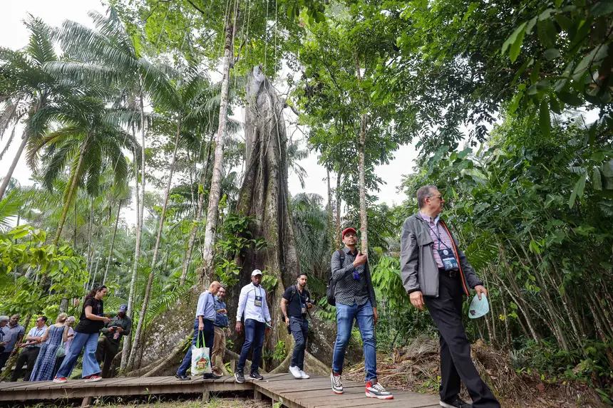  <div class='credito_fotos'>Foto: Bruno Cecim / Ag. Pará &nbsp;&nbsp;|&nbsp;&nbsp; <a href='/midias/2025/originais/20250829155054-GF00024679-F00437546.jpg' download><i class='fa-solid fa-download'></i> Download</a></div>