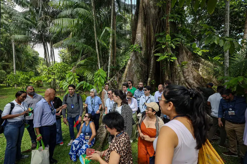  <div class='credito_fotos'>Foto: Bruno Cecim / Ag. Pará &nbsp;&nbsp;|&nbsp;&nbsp; <a href='/midias/2025/originais/20250829155102-GF00024679-F00437550.jpg' download><i class='fa-solid fa-download'></i> Download</a></div>