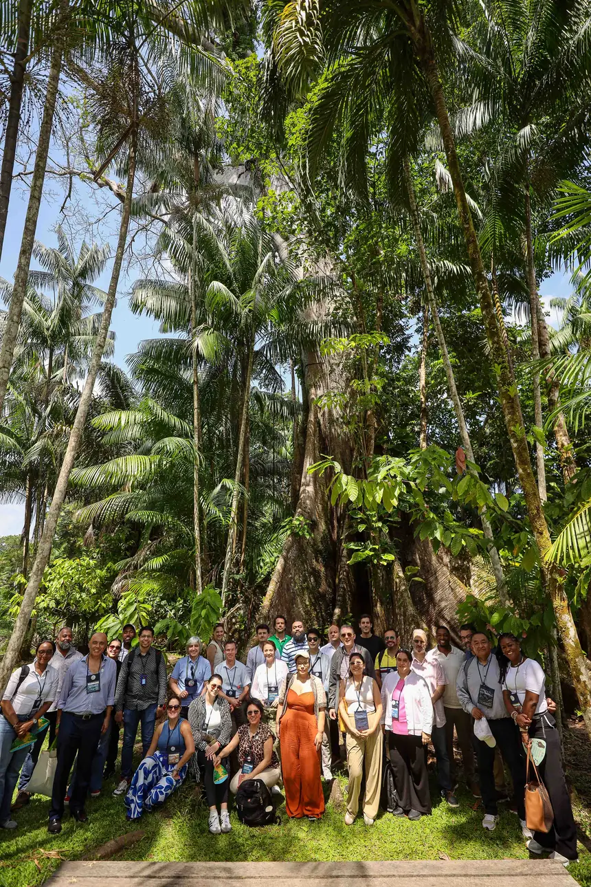  <div class='credito_fotos'>Foto: Bruno Cecim / Ag. Pará &nbsp;&nbsp;|&nbsp;&nbsp; <a href='/midias/2025/originais/20250829155106-GF00024679-F00437552.jpg' download><i class='fa-solid fa-download'></i> Download</a></div>