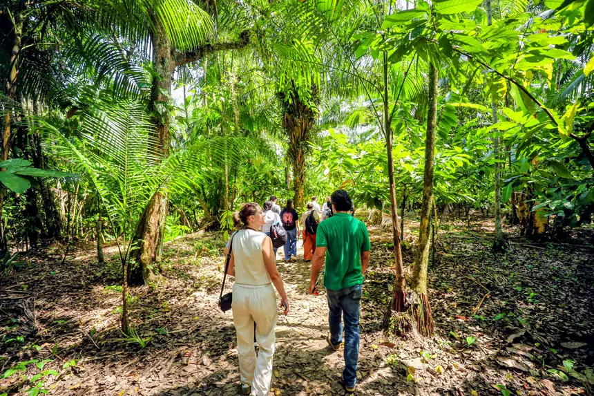  <div class='credito_fotos'>Foto: Bruno Cecim / Ag. Pará &nbsp;&nbsp;|&nbsp;&nbsp; <a href='/midias/2025/originais/20250829155137-GF00024679-F00437560.jpg' download><i class='fa-solid fa-download'></i> Download</a></div>