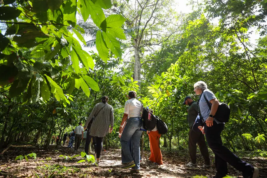  <div class='credito_fotos'>Foto: Bruno Cecim / Ag. Pará &nbsp;&nbsp;|&nbsp;&nbsp; <a href='/midias/2025/originais/20250829155142-GF00024679-F00437562.jpg' download><i class='fa-solid fa-download'></i> Download</a></div>