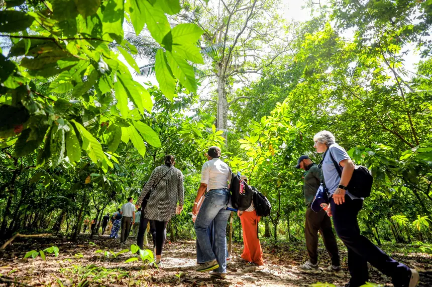  <div class='credito_fotos'>Foto: Bruno Cecim / Ag. Pará &nbsp;&nbsp;|&nbsp;&nbsp; <a href='/midias/2025/originais/20250829155144-GF00024679-F00437563.jpg' download><i class='fa-solid fa-download'></i> Download</a></div>