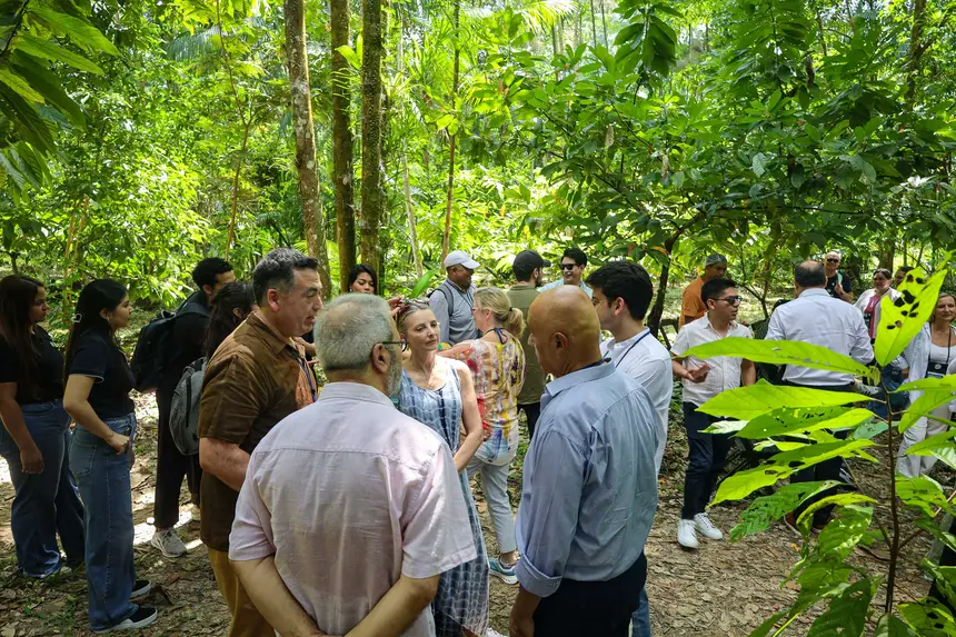  <div class='credito_fotos'>Foto: Bruno Cecim / Ag. Pará &nbsp;&nbsp;|&nbsp;&nbsp; <a href='/midias/2025/originais/20250829155154-GF00024679-F00437568.jpg' download><i class='fa-solid fa-download'></i> Download</a></div>