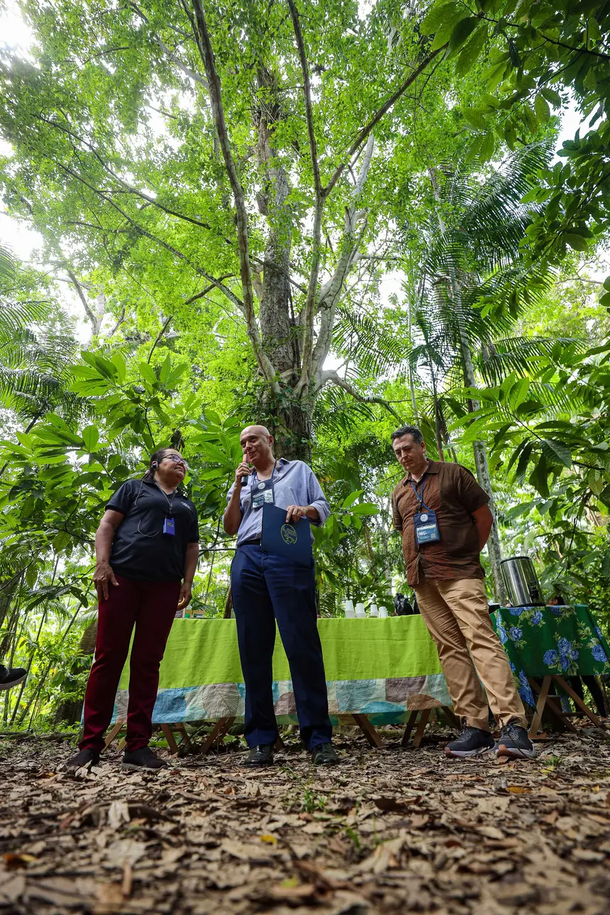  <div class='credito_fotos'>Foto: Bruno Cecim / Ag. Pará &nbsp;&nbsp;|&nbsp;&nbsp; <a href='/midias/2025/originais/20250829155246-GF00024679-F00437592.jpg' download><i class='fa-solid fa-download'></i> Download</a></div>