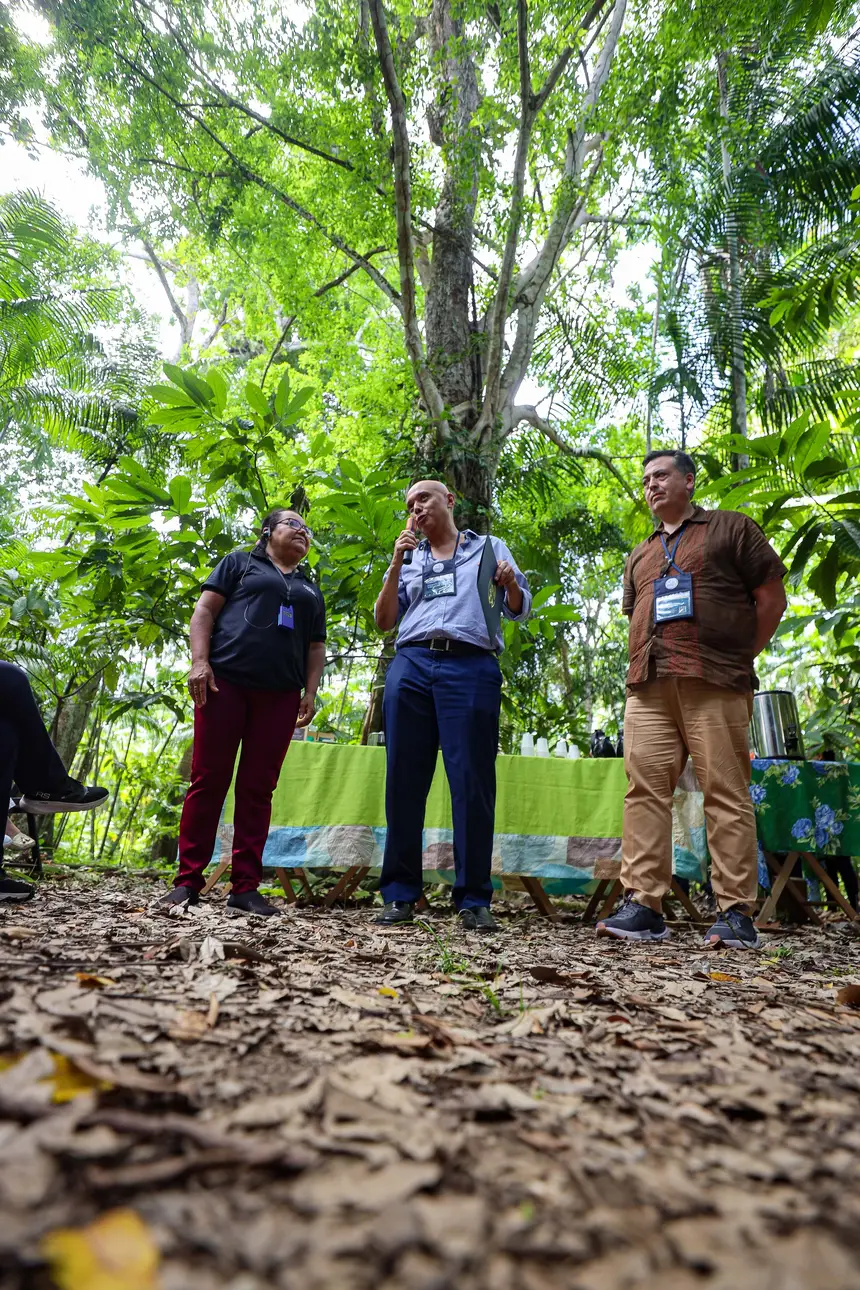  <div class='credito_fotos'>Foto: Bruno Cecim / Ag. Pará &nbsp;&nbsp;|&nbsp;&nbsp; <a href='/midias/2025/originais/20250829155253-GF00024679-F00437595.jpg' download><i class='fa-solid fa-download'></i> Download</a></div>