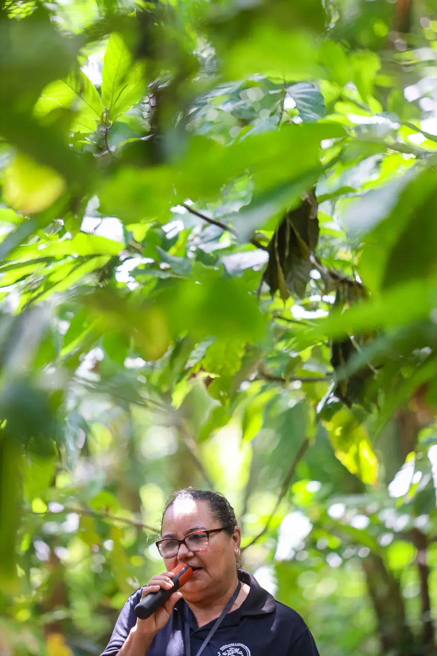  <div class='credito_fotos'>Foto: Bruno Cecim / Ag. Pará &nbsp;&nbsp;|&nbsp;&nbsp; <a href='/midias/2025/originais/20250829155301-GF00024679-F00437599.jpg' download><i class='fa-solid fa-download'></i> Download</a></div>