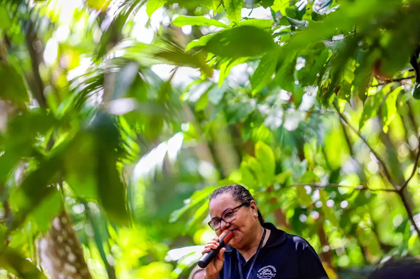  <div class='credito_fotos'>Foto: Bruno Cecim / Ag. Pará &nbsp;&nbsp;|&nbsp;&nbsp; <a href='/midias/2025/originais/20250829155307-GF00024679-F00437602.jpg' download><i class='fa-solid fa-download'></i> Download</a></div>