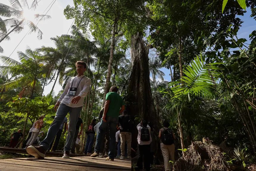  <div class='credito_fotos'>Foto: Bruno Cecim / Ag. Pará &nbsp;&nbsp;|&nbsp;&nbsp; <a href='/midias/2025/originais/20250829155524-GF00024679-F00437652.jpg' download><i class='fa-solid fa-download'></i> Download</a></div>