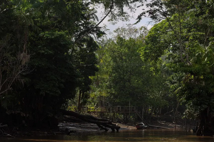  <div class='credito_fotos'>Foto: Bruno Cecim / Ag. Pará &nbsp;&nbsp;|&nbsp;&nbsp; <a href='/midias/2025/originais/20250829155640-GF00024679-F00437669.jpg' download><i class='fa-solid fa-download'></i> Download</a></div>