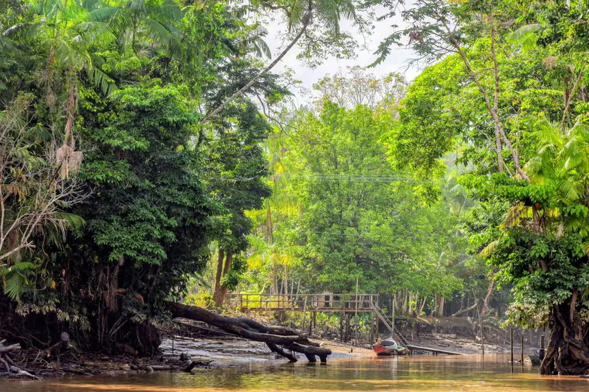  <div class='credito_fotos'>Foto: Bruno Cecim / Ag. Pará &nbsp;&nbsp;|&nbsp;&nbsp; <a href='/midias/2025/originais/20250829155642-GF00024679-F00437670.jpg' download><i class='fa-solid fa-download'></i> Download</a></div>