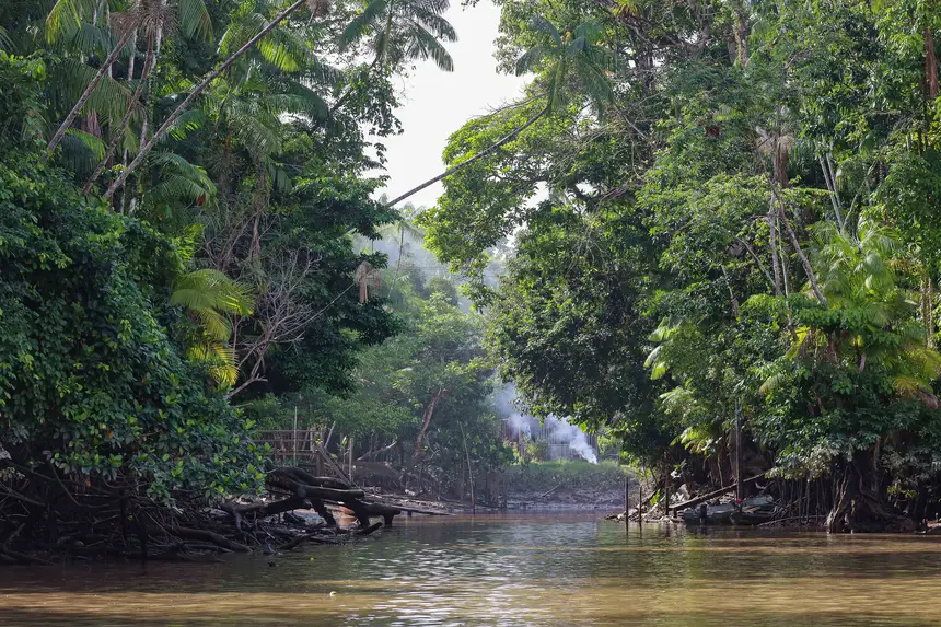  <div class='credito_fotos'>Foto: Bruno Cecim / Ag. Pará &nbsp;&nbsp;|&nbsp;&nbsp; <a href='/midias/2025/originais/20250829155644-GF00024679-F00437671.jpg' download><i class='fa-solid fa-download'></i> Download</a></div>